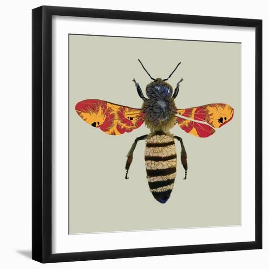 Honey Bee, 2010-Sarah Hough-Framed Premium Giclee Print