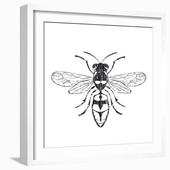 Honey Bee-Clara Wells-Framed Giclee Print