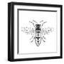 Honey Bee-Clara Wells-Framed Giclee Print