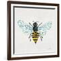 Honey Bee-Cat Coquillette-Framed Giclee Print