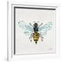 Honey Bee-Cat Coquillette-Framed Giclee Print