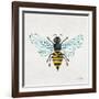 Honey Bee-Cat Coquillette-Framed Giclee Print