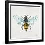 Honey Bee-Cat Coquillette-Framed Giclee Print