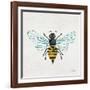 Honey Bee-Cat Coquillette-Framed Giclee Print