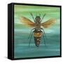 Honey Bee-Gigi Begin-Framed Stretched Canvas