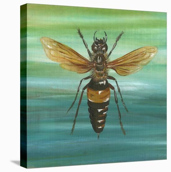 Honey Bee-Gigi Begin-Stretched Canvas