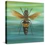 Honey Bee-Gigi Begin-Stretched Canvas