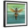 Honey Bee-Gigi Begin-Framed Premium Giclee Print