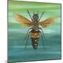 Honey Bee-Gigi Begin-Mounted Premium Giclee Print