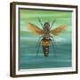 Honey Bee-Gigi Begin-Framed Giclee Print