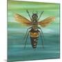 Honey Bee-Gigi Begin-Mounted Giclee Print