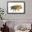 Honey Bee-Tim Knepp-Framed Giclee Print displayed on a wall