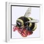 Honey Bee-R. B. Davis-Framed Giclee Print