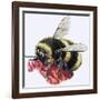 Honey Bee-R. B. Davis-Framed Giclee Print