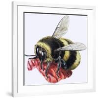 Honey Bee-R. B. Davis-Framed Giclee Print