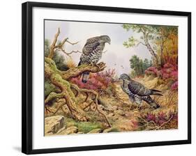 Honey Buzzards-Carl Donner-Framed Giclee Print