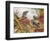 Honey Buzzards-Carl Donner-Framed Giclee Print