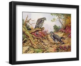 Honey Buzzards-Carl Donner-Framed Giclee Print