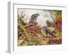 Honey Buzzards-Carl Donner-Framed Giclee Print