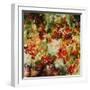 Honey Creek Floral-Jodi Maas-Framed Giclee Print