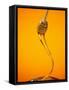 Honey Dipper-Lew Robertson-Framed Stretched Canvas