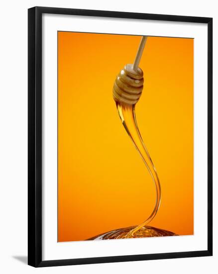 Honey Dipper-Lew Robertson-Framed Photographic Print