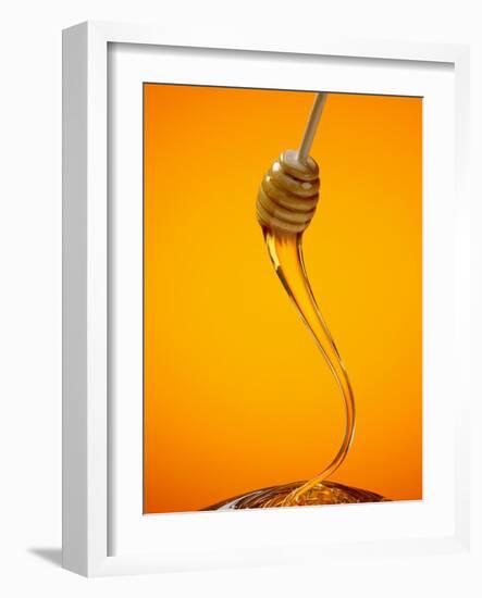Honey Dipper-Lew Robertson-Framed Photographic Print