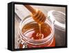 Honey Drip-oksix-Framed Stretched Canvas