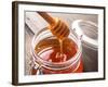 Honey Drip-oksix-Framed Photographic Print