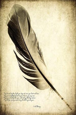 Feather on the Wind IV