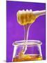 Honey Running from a Honey Dipper into a Jar-Marc O^ Finley-Mounted Photographic Print