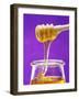 Honey Running from a Honey Dipper into a Jar-Marc O^ Finley-Framed Photographic Print