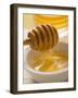 Honey Running from a Honey Dipper-null-Framed Photographic Print