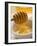 Honey Running from a Honey Dipper-null-Framed Photographic Print