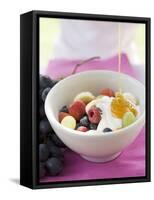 Honey Running onto Fruit Muesli with Yoghurt-null-Framed Stretched Canvas