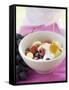 Honey Running onto Fruit Muesli with Yoghurt-null-Framed Stretched Canvas