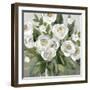 Honey White Blossoms-Carol Robinson-Framed Art Print