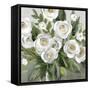 Honey White Blossoms-Carol Robinson-Framed Stretched Canvas