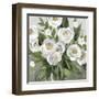 Honey White Blossoms-Carol Robinson-Framed Art Print