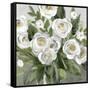 Honey White Blossoms-Carol Robinson-Framed Stretched Canvas