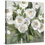 Honey White Blossoms-Carol Robinson-Stretched Canvas