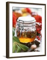 Honey with Chestnuts and Almonds in Jar-Alena Hrbkova-Framed Photographic Print