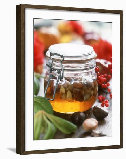 Honey with Chestnuts and Almonds in Jar-Alena Hrbkova-Framed Photographic Print