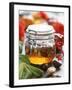 Honey with Chestnuts and Almonds in Jar-Alena Hrbkova-Framed Photographic Print