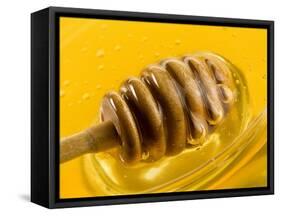 Honey with Honey Dipper-Vladimir Shulevsky-Framed Stretched Canvas