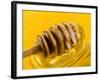 Honey with Honey Dipper-Vladimir Shulevsky-Framed Photographic Print