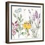 Honeybee Blossoms II-Anne Tavoletti-Framed Art Print