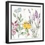 Honeybee Blossoms II-Anne Tavoletti-Framed Art Print