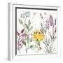 Honeybee Blossoms II-Anne Tavoletti-Framed Art Print