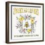 Honeybee Blossoms IV-Anne Tavoletti-Framed Art Print